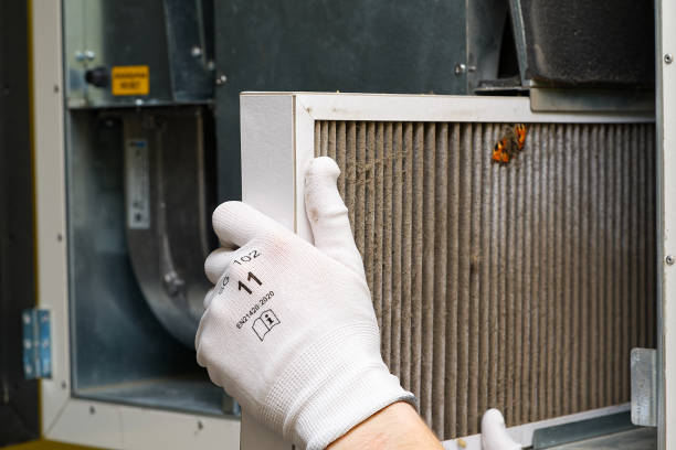 Best Professional Duct Cleaning Services  in Bourbonnais, IL