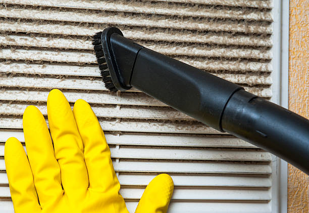 Best Air Duct Mold Removal  in Bourbonnais, IL
